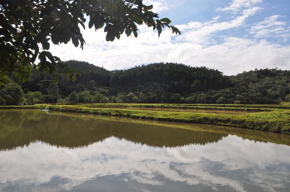 Pousada Lindnerhof ริโอ ดอส เซดรอส ภายนอก รูปภาพ